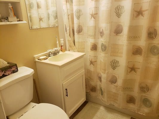 A bathroom with a toilet and shower curtain.