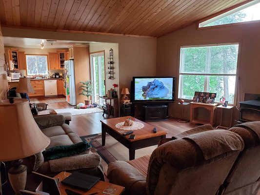 A living room with couches and a tv.