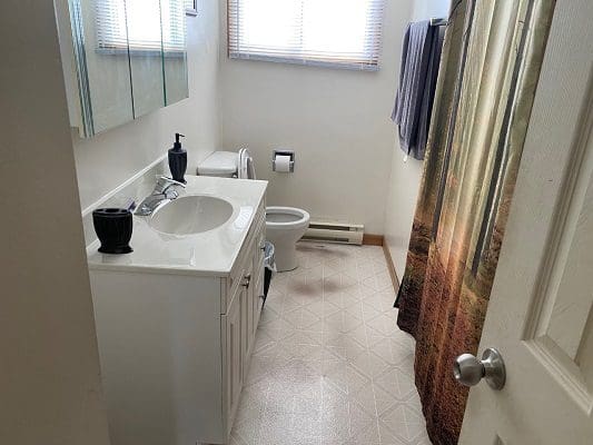 A bathroom with a toilet and sink.