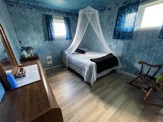 A bedroom with blue walls and a bed with a mosquito net.