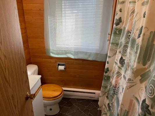 A bathroom with a toilet and shower curtain.