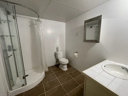 A bathroom with a toilet, shower and sink.