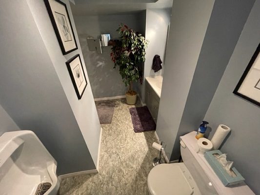 A bathroom with a toilet and a sink.