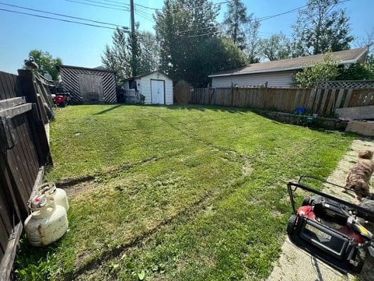 A backyard with a lawn mower and a lawn mower.