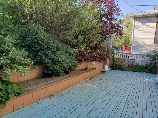 A backyard with a wooden deck and plants.