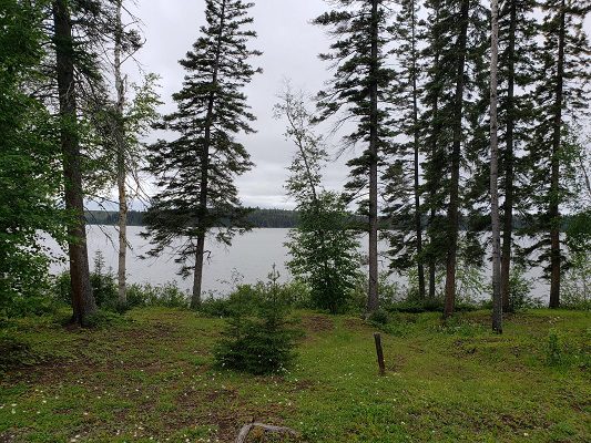 A lot with trees and a lake in the background.