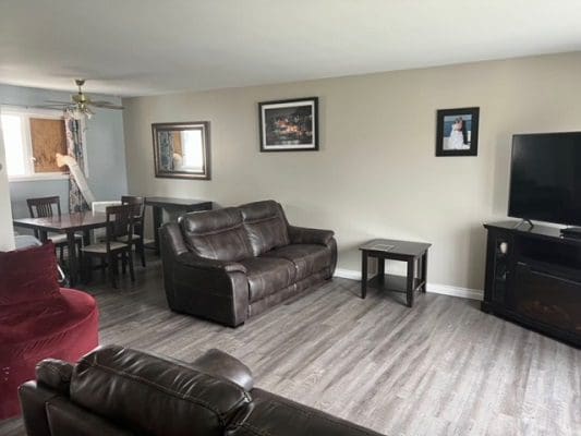 A living room with couches and a tv.