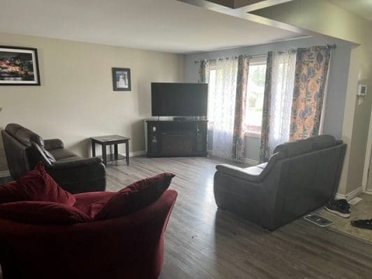 A living room with couches and a tv.
