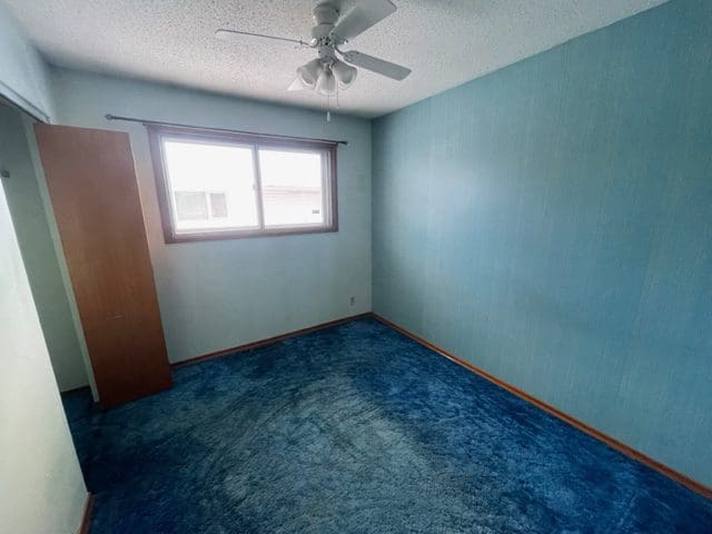 An empty room with blue carpet and a ceiling fan.
