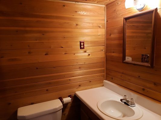 A bathroom with wood paneling and a toilet.