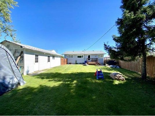 A backyard with a lawn mower and a tent.