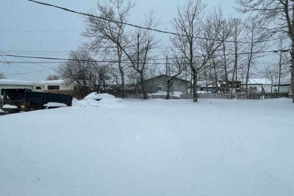 A snow covered yard with trees and a house.