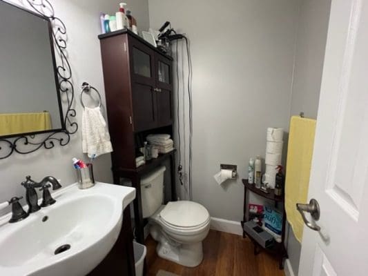 A bathroom with a toilet and a sink.