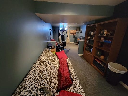 A small living room with a couch and bookshelf.