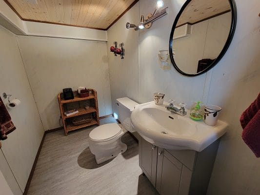 A bathroom with a toilet, sink and mirror.