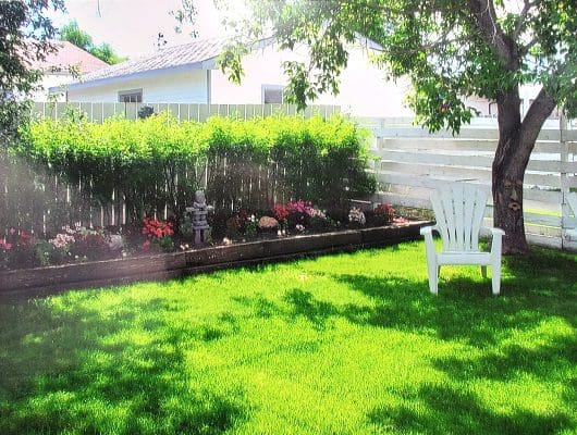 A backyard with a white lawn chair and a white fence.