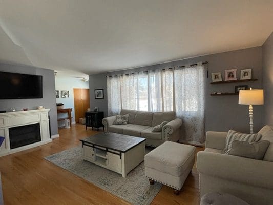 A living room with couches, a fireplace, and a tv.