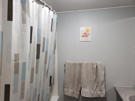 A bathroom with a shower curtain and towels hanging on the wall.