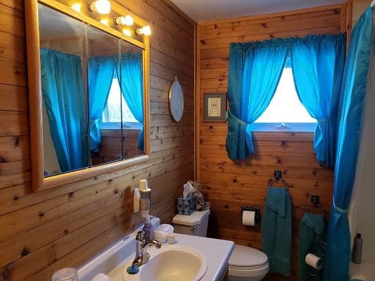 A bathroom with blue curtains and wooden walls.
