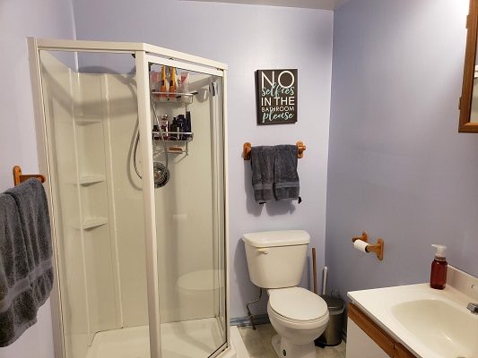 A bathroom with a shower stall and toilet.