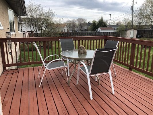 Table and Chair Set on an Outdoor Deck