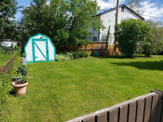 A green shed in the backyard of a house.