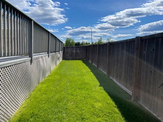 A backyard with grass and a fence.