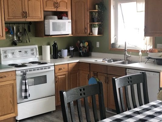 Kitchen With Wooden Cabinets