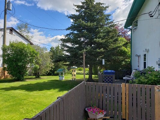 The backyard of a house with a fence and grass.