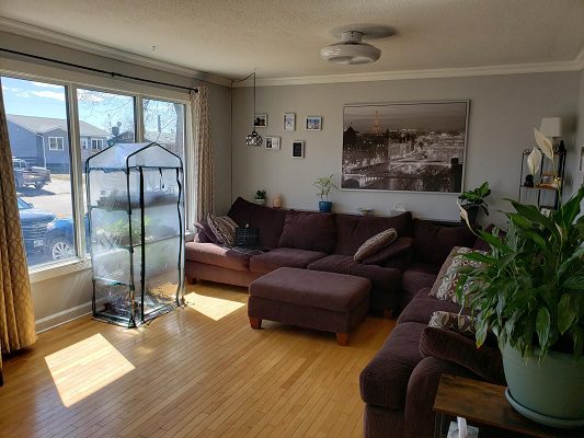 A living room with hardwood floors and a brown couch.