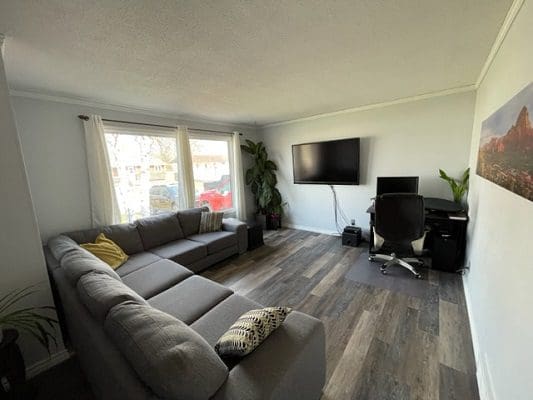 A living room with a couch and tv.
