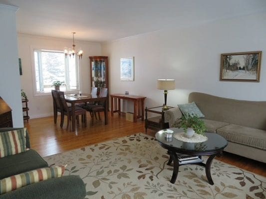 A living room with couches and a dining table.