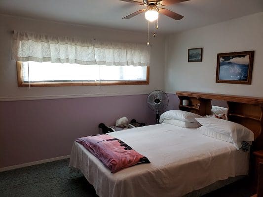 A bedroom with purple walls and a ceiling fan.