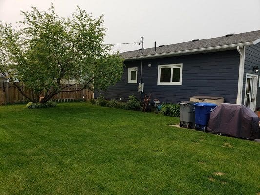 A backyard with a blue house and a lawn mower.