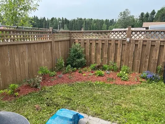 A backyard with a wooden fence and some plants.