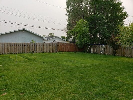 A backyard with grass and a wooden fence.