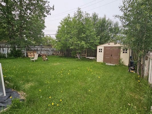 A backyard with grass and a shed.