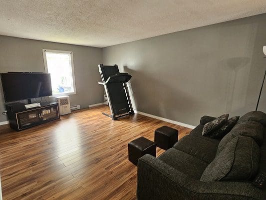 A living room with a couch and a treadmill.