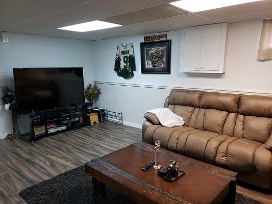 Basement media room with leather couch.