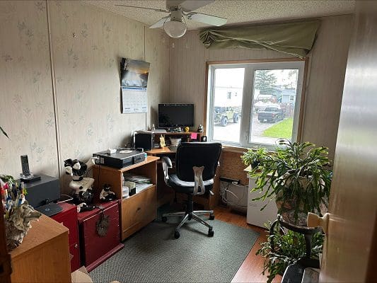 Home office with computer and plants.