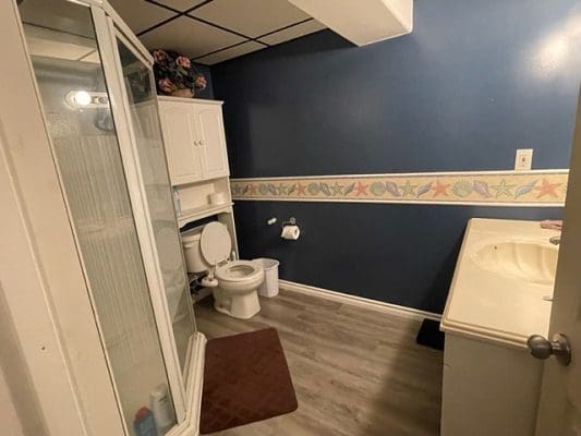Bathroom with shower, toilet, and vanity.