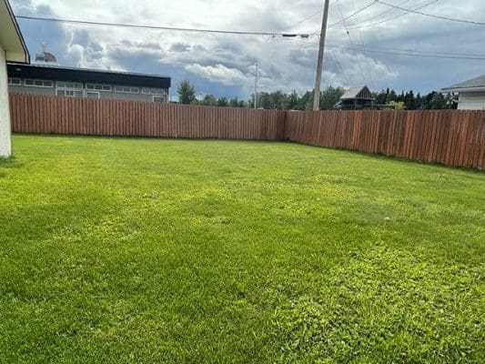 Green grassy backyard with wooden fence.