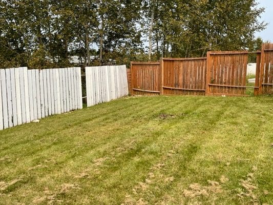 White and brown fences in yard.