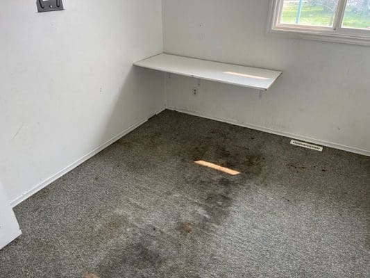 Dirty room with shelf and stained carpet.