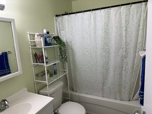 Bathroom with shower and storage shelf.