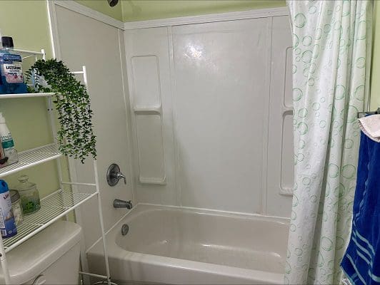 Bathroom with shower and plant shelf.
