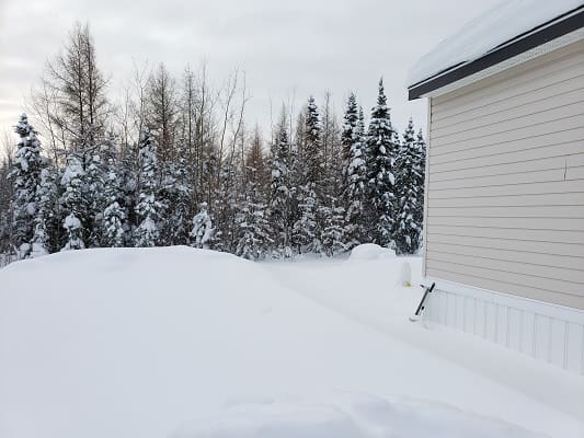 Snowy backyard, snow-covered trees, house.