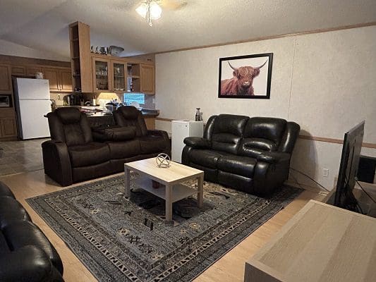 Living room with reclining sofas and rug.