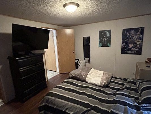 Bedroom with bed, TV, and dresser.