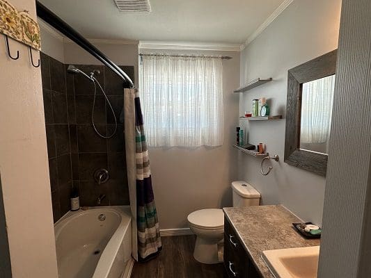Bathroom with bathtub, shower, and vanity.